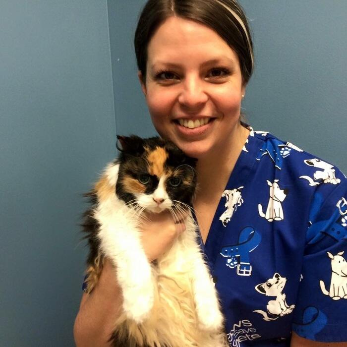 Katy  <br>Lead Veterinary Technician photo
